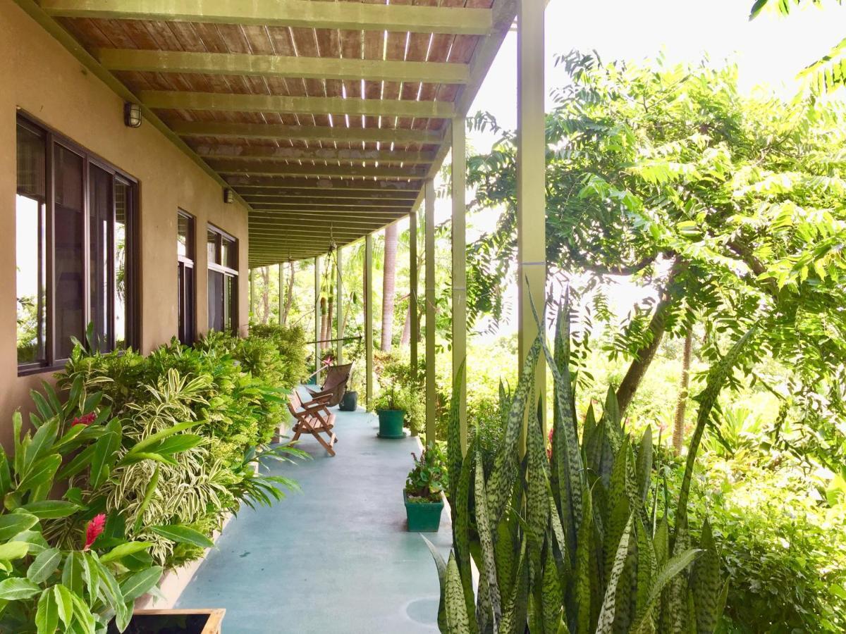 Santa Teresa Surf Vista Villas Playa Santa Teresa  Luaran gambar